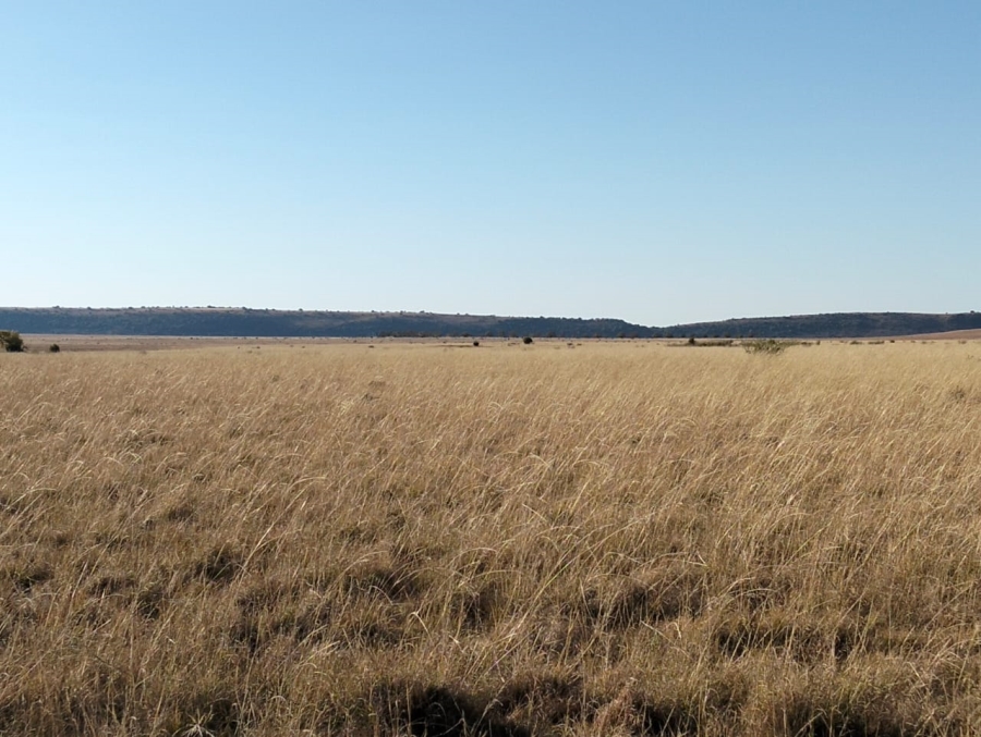 Commercial Property for Sale in Thaba Nchu Free State